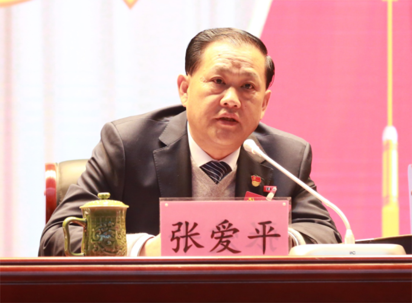 张爱平同志宣读中共爱游戏体育官方网站首页（中国）有限公司第一届党委成员分工及纪委成员分工